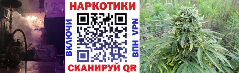 Купить закладку Псилоцибиновые грибы  АМФ  Гашиш  Канабис  Мефедрон  А ПВП  Междуреченск