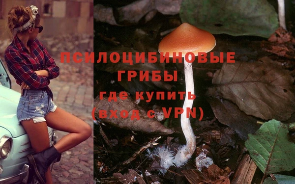 мескалин Иннополис