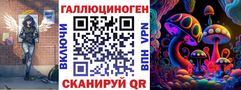 Купить закладки  Междуреченск  Псилоцибиновые грибы MAGIC MUSHROOMS 